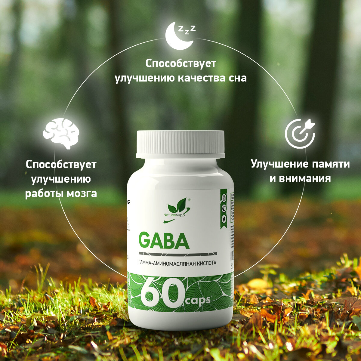Изображение БАД ГАБА GABA Гамма-Аминомасляная кислота NaturalSupp Улучшение памяти и качества сна От стресса 60 капсул