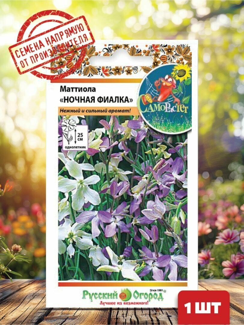 Семена Маттиола Ночная фиалка, смесь