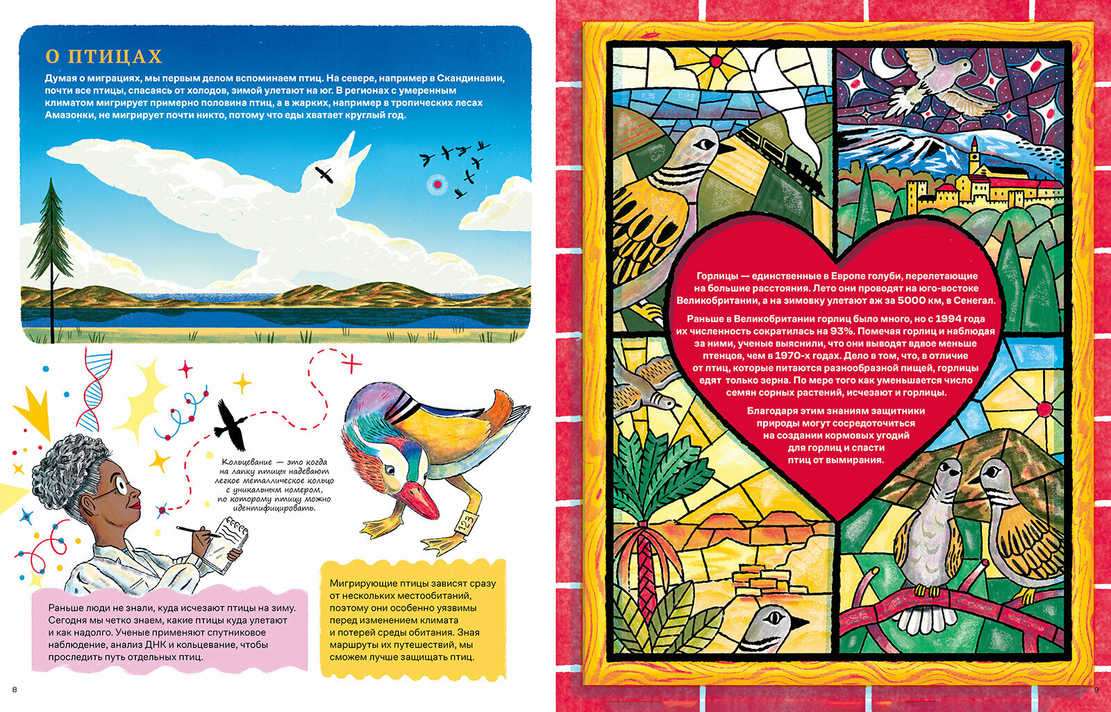 Невероятные странствия животных : навигация и миграция по воздуху, суше и морю - фото №10