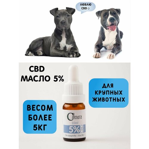 Масло CBD (КБД) OIL 5% для крупных животных (кошек и собак весом более 5 кг)