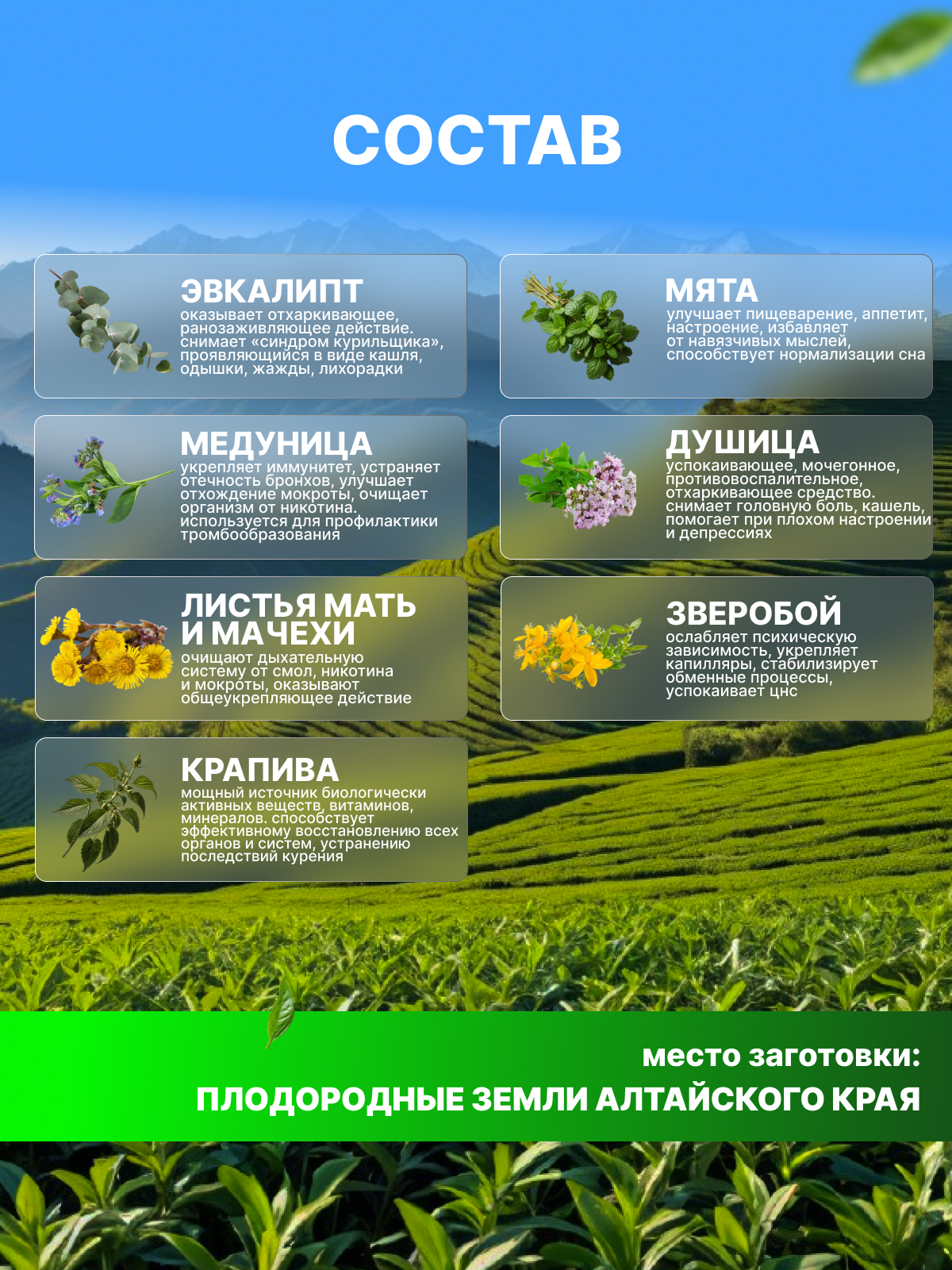 Картинки Сбор для очистки легких «Стоп курение», 100 гр