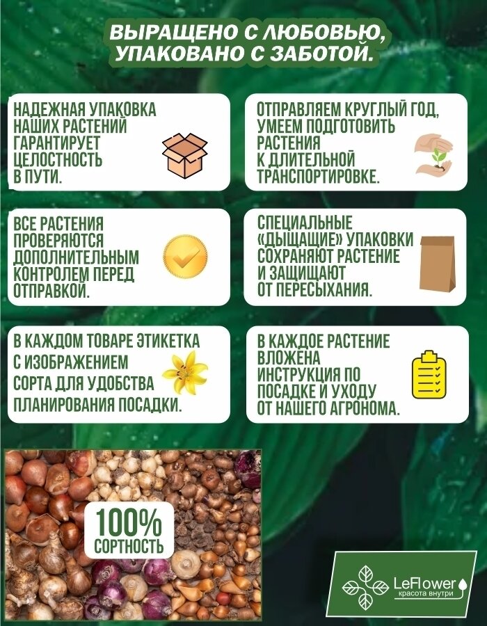Тюльпан Луковица Микс сортов 30+ шт