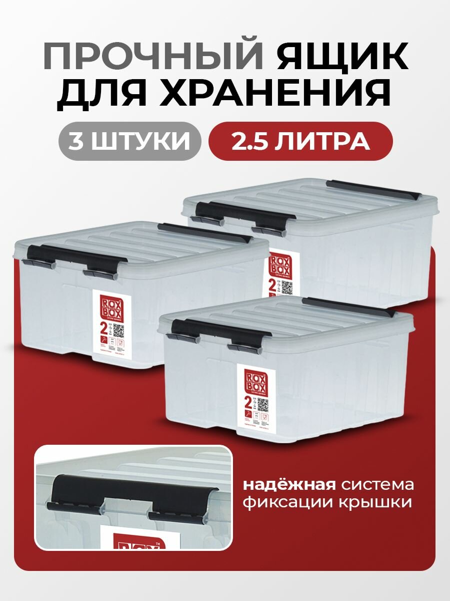 Контейнеры для хранения RoxBox 2.5 л пластиковые система хранения вещей 21х17х10 см 3 шт.