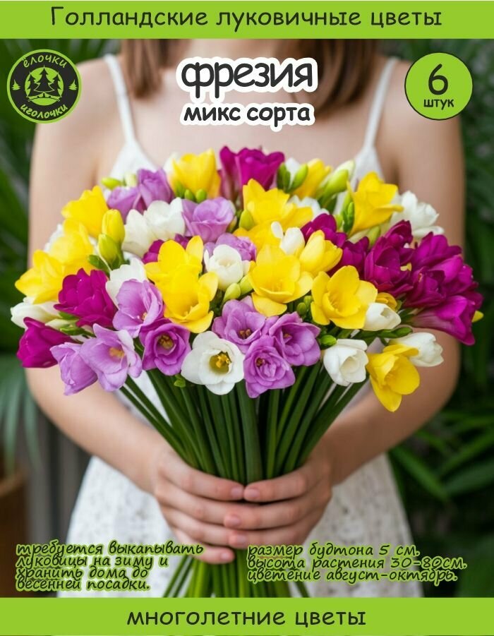 Луковица  Фрезия микс сортов 6 шт