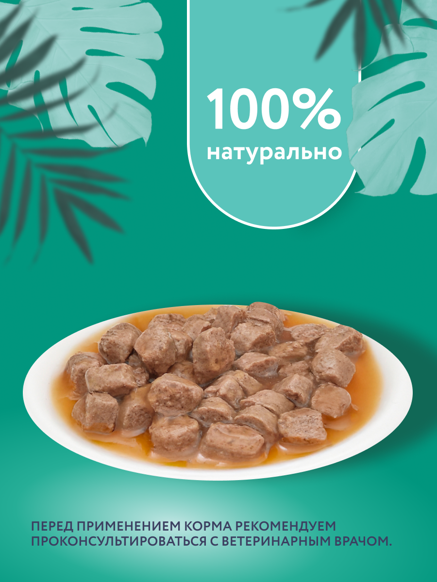 Florida Preventive Line Diabetic Паучи для кошек для профилактики сахарного диабета. Влажный, ветеринарный, диетический корм, 85 г — фото 1
