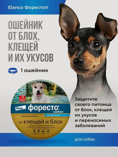 Изображение товара Форесто , ошейник малый для собак от блох и клещей