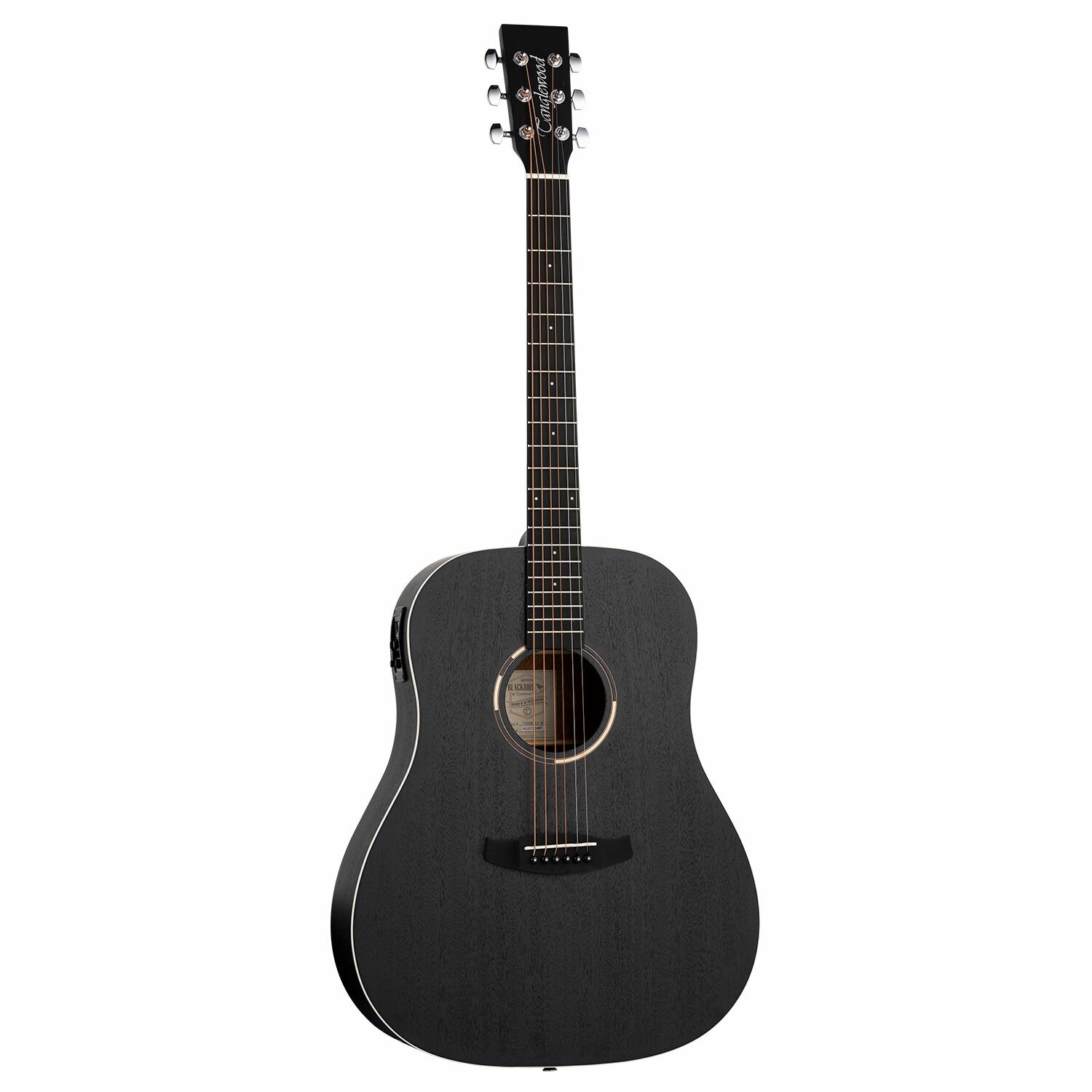 Электро-акустическая гитара TANGLEWOOD TWBB SD E