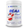 AllNutrition BCAA MAX SUPPORT INSTANT 500 гр, арбуз - изображение