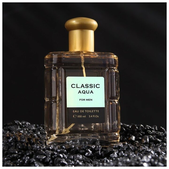 TODAY PARFUM Туалетная вода мужская Classic Aqua, 100 мл (по мотивам Acqua Di Gio (G.Armani)