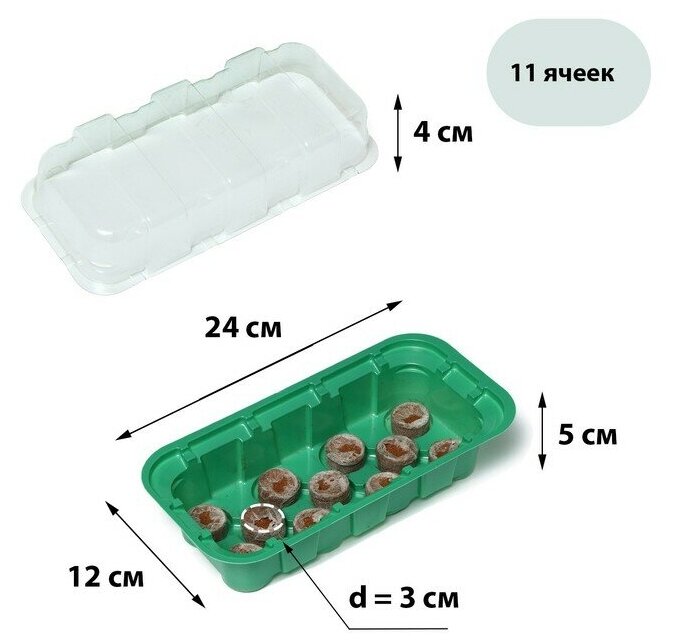 Мини-парник для рассады: кокосовая таблетка d = 3 см (11 шт.), парник 24 × 12 см, jiffy