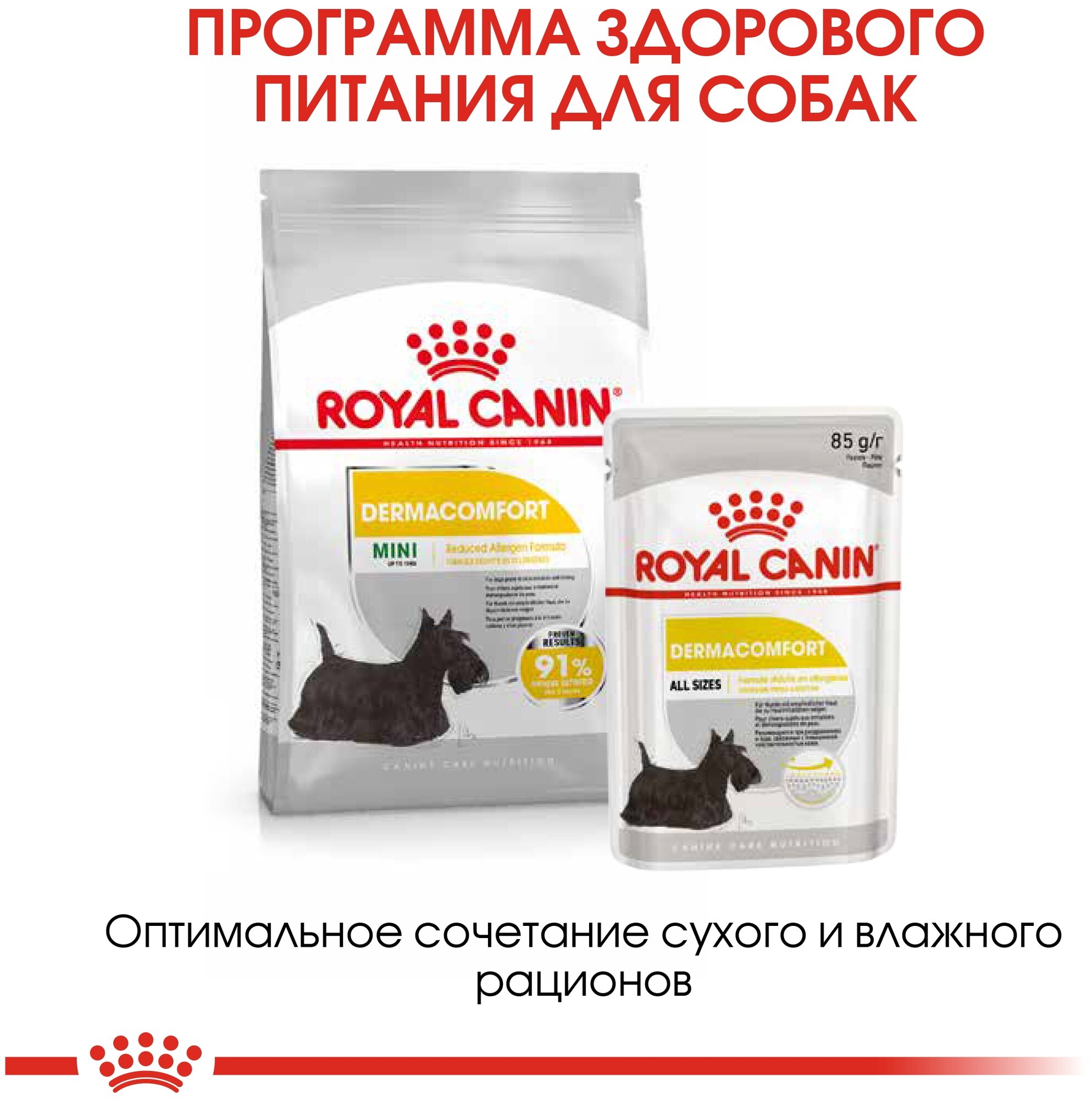 Сухой корм для собак Royal Canin Mini Dermacomfort 1 кг - фото №4