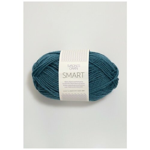 Пряжа Sandnes Garn Smart цвет 6545 561₽
