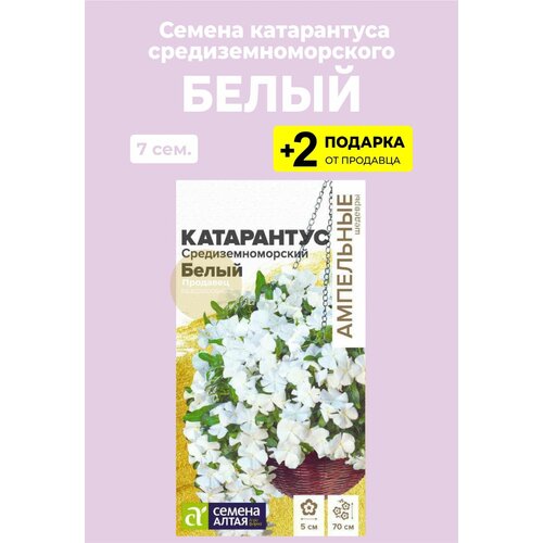 Семена цветов Катарантус 