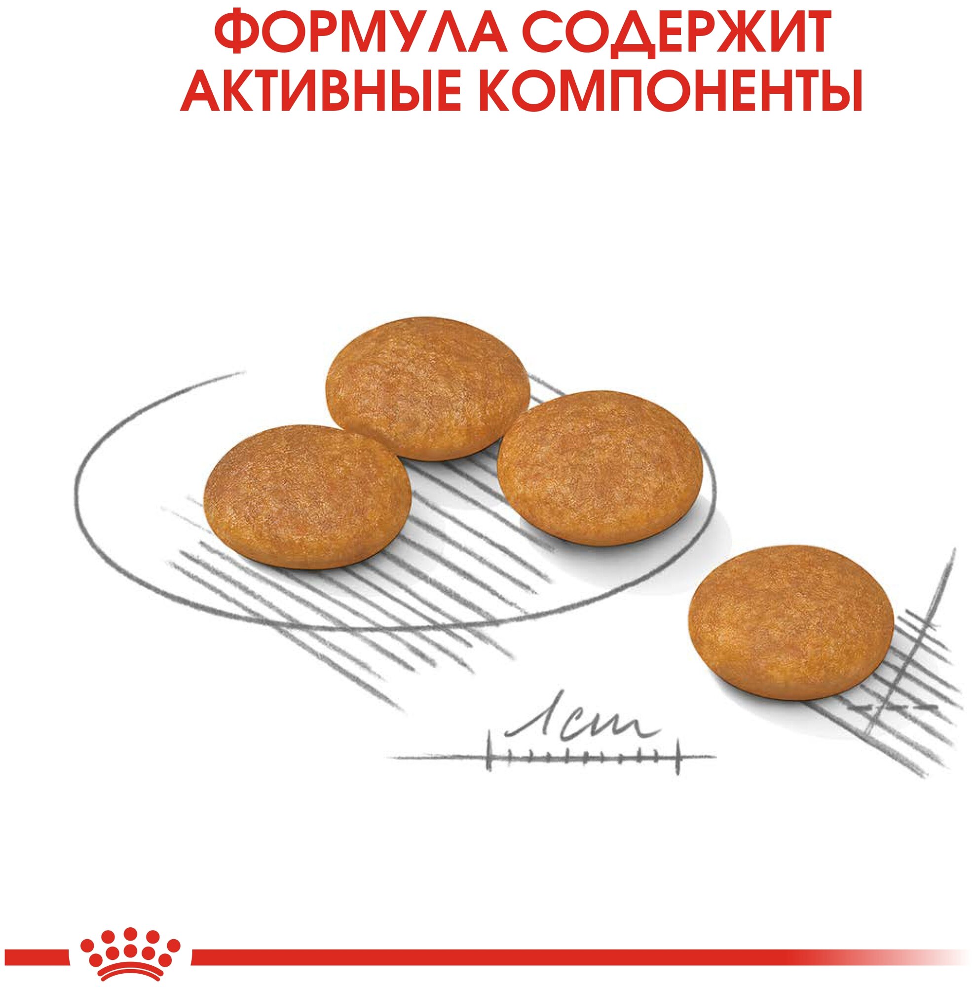 Сухой корм для собак Royal Canin Mini Dermacomfort 1 кг - фото №3