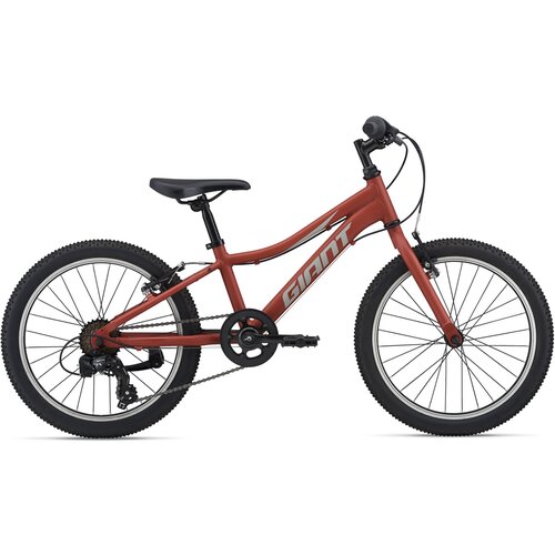 Детский велосипед Giant XTC Jr 20 Lite (2021) 20 Красно-серый (120-135 см)