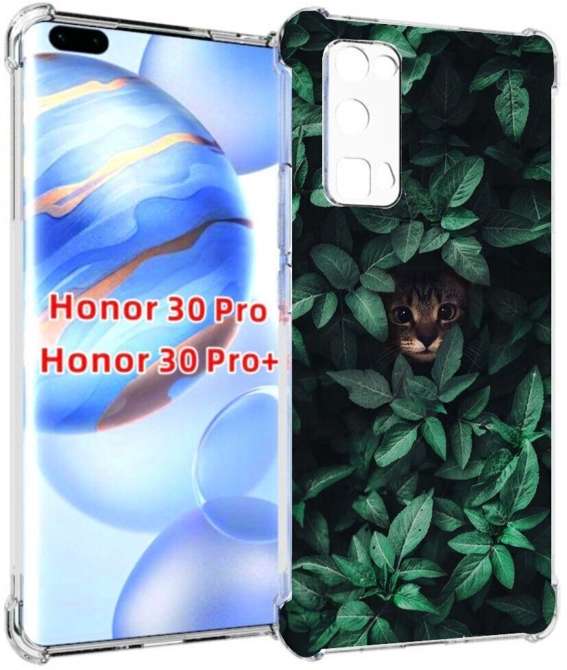 Чехол задняя-панель-накладка-бампер MyPads котенок в листьях для Huawei Honor 30 Pro/Honor 30 Pro plus + (EBG-AN10) противоударный