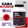 Аминокислота PROTEIN.COMPANY Гамма-аминомасляная кислота GABA - изображение