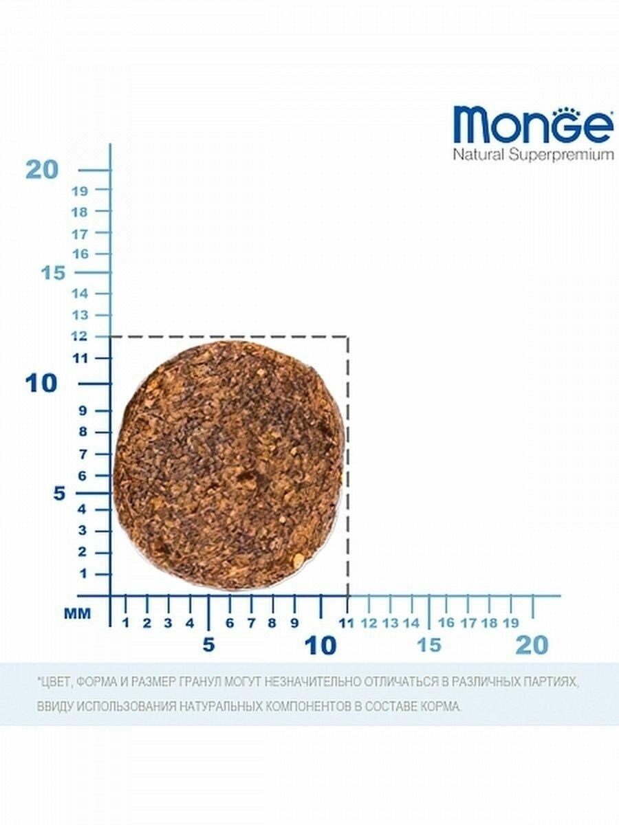 Сухой корм Monge Medium для щенков средних пород, курица, 800г - фото №6