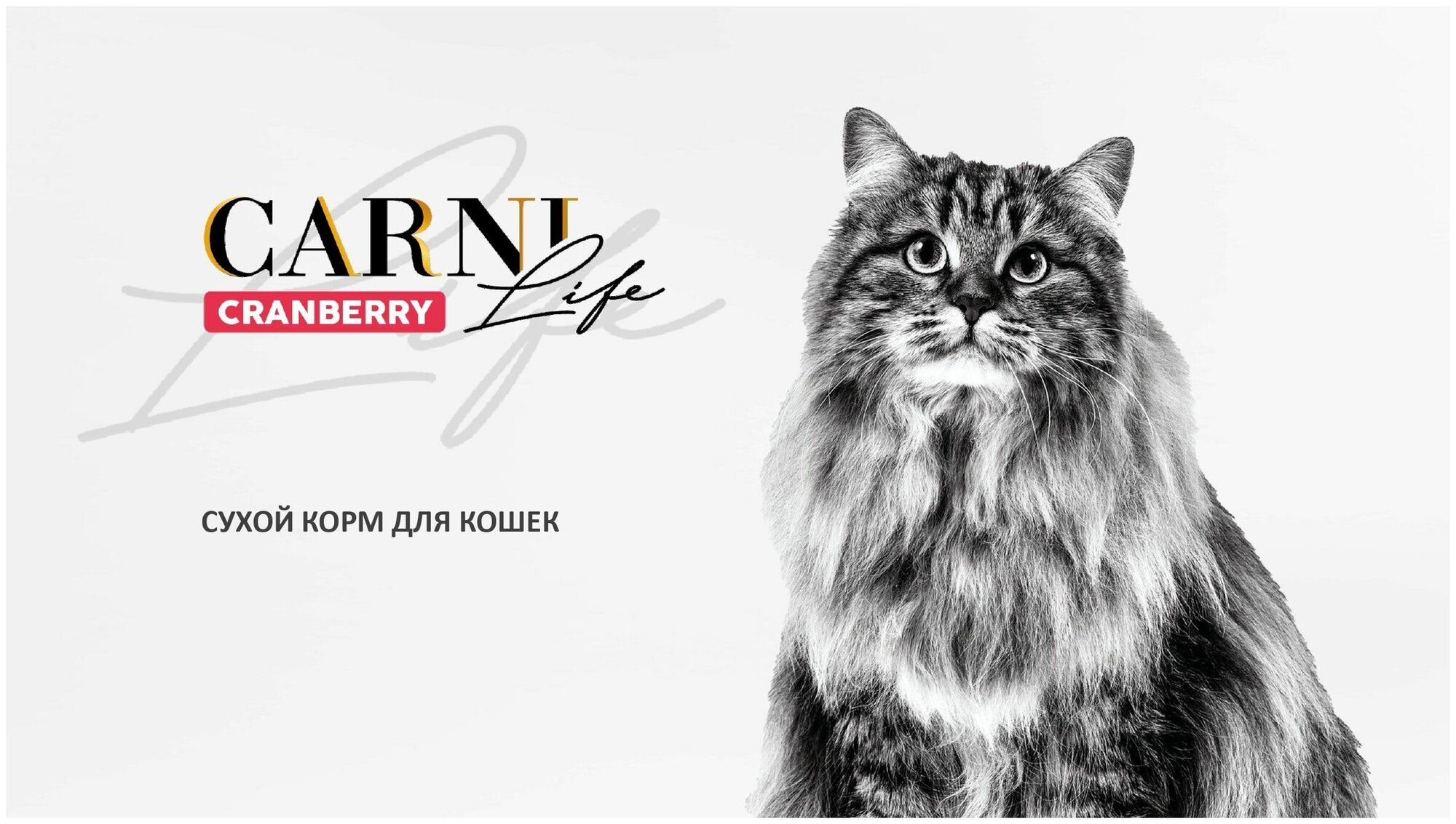 Сухой корм Carni Life для кошек ягненок и ежевика adult 1,5кг