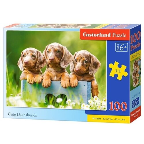 Пазлы Castorland 100, Щенки таксы Premium (В-111213) пазл для детей castorland 100 деталей щенки таксы