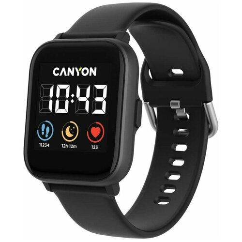 Умные часы Canyon Salt SW-78 CNS-SW78BB Черный 380000₽