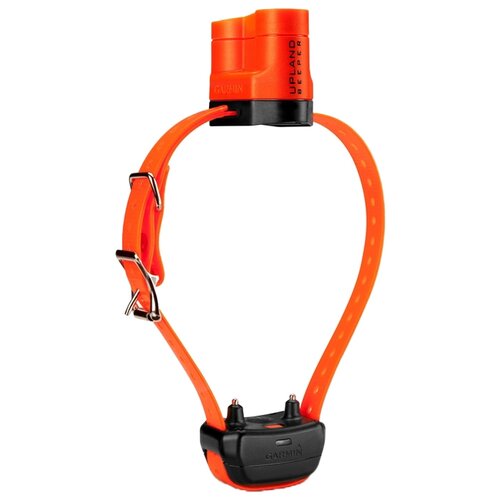 фото Электронный ошейник garmin