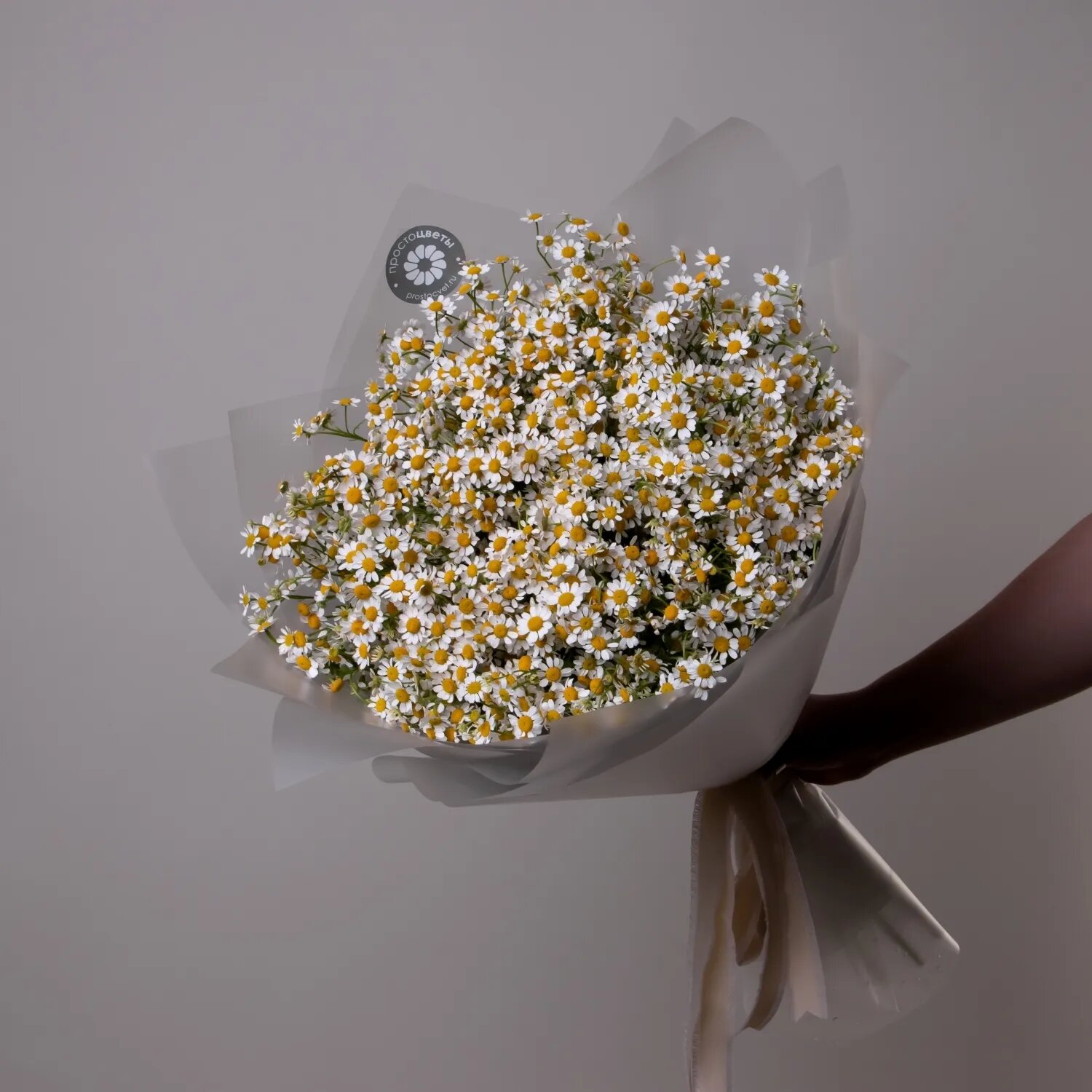 Букет Матрикария "Сингл Вигмо" 9 шт Высота 60 см в коробке и аквабоксе от "Простоцветы"
