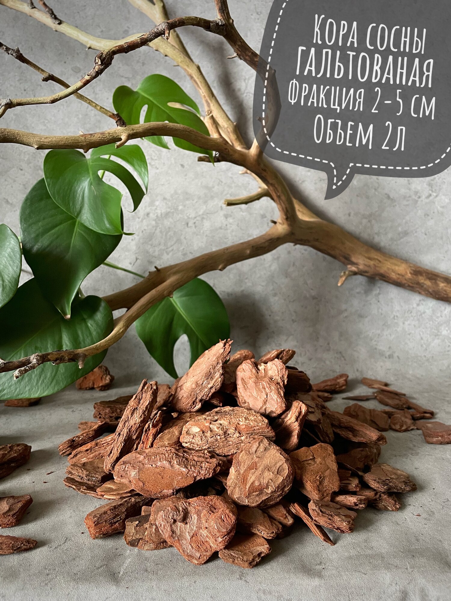 Кора сосны гальтованная  фракция 2 5 см  объем 2л  ЭКО субстрат для орхидей Terracotta Plants  Натуральный декор