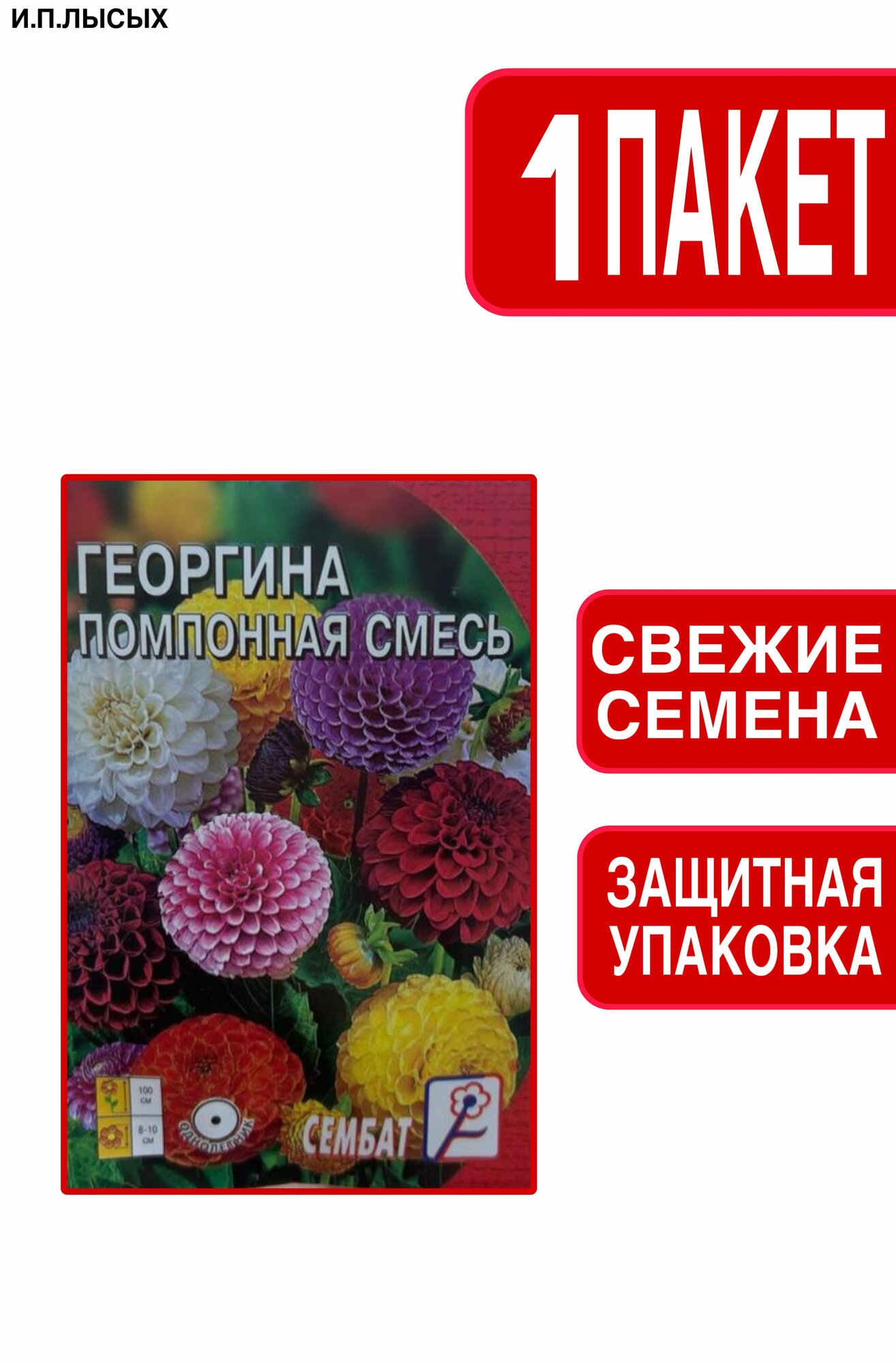 Семена Георгина 