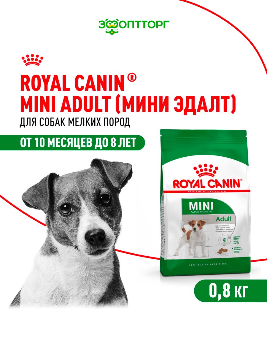Сухой корм Royal Canin Mini Adult для взрослых собак мелких пород Птица, 800 г.