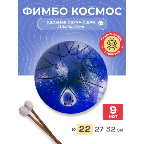 фото Фимбо космос (22 см), глюкофон, тональный язычковый барабан , ханг fimbo