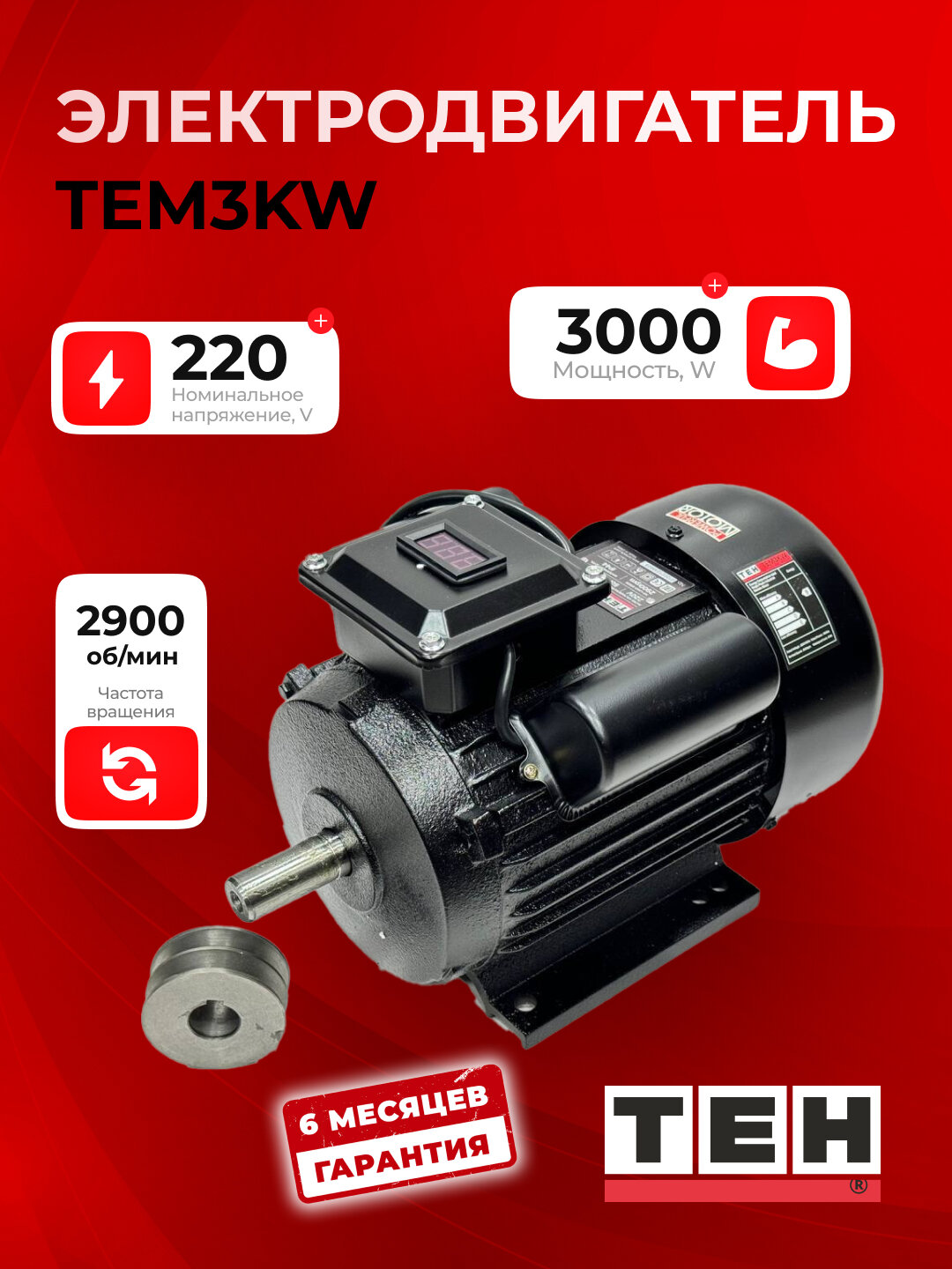 Двигатель TEH TEM3KW, 3000 Вт, диаметр вала 38 мм, 2900 об/мин