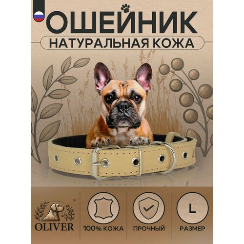 Ошейник для собак Oliver из натуральной кожи на мягкой подкладке из синтепона / L / Бежевый