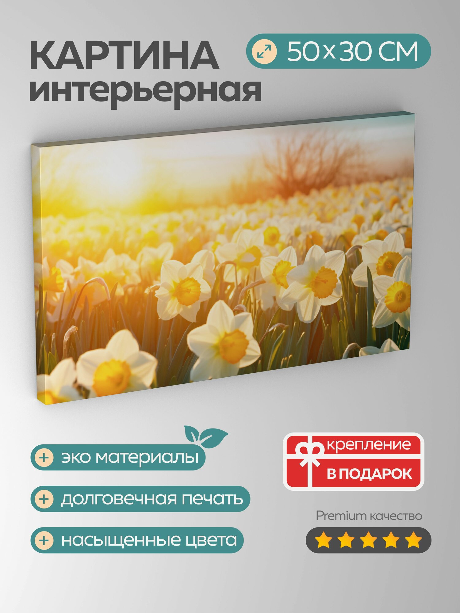 Картина на холсте интерьерная 50х30 см, нарциссы, поле, высокое разрешение, золотистый свет, яркие цветы, желтый
