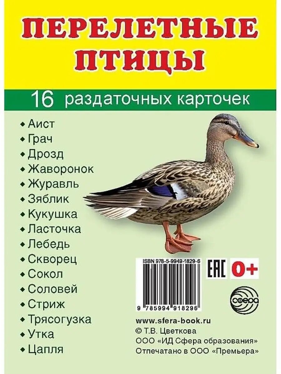 Перелетные птицы 16 раздаточных карточек с текстом