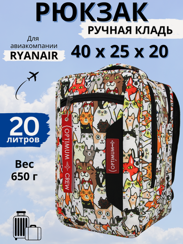Изображение товара Рюкзак сумка дорожная ручная кладь 40х25х20 в самолет Ryanair, зверополис