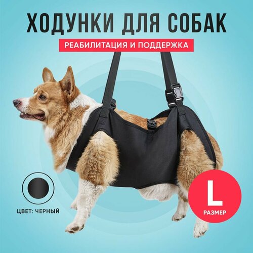 Ходунки для собак, полная поддержка, размер L