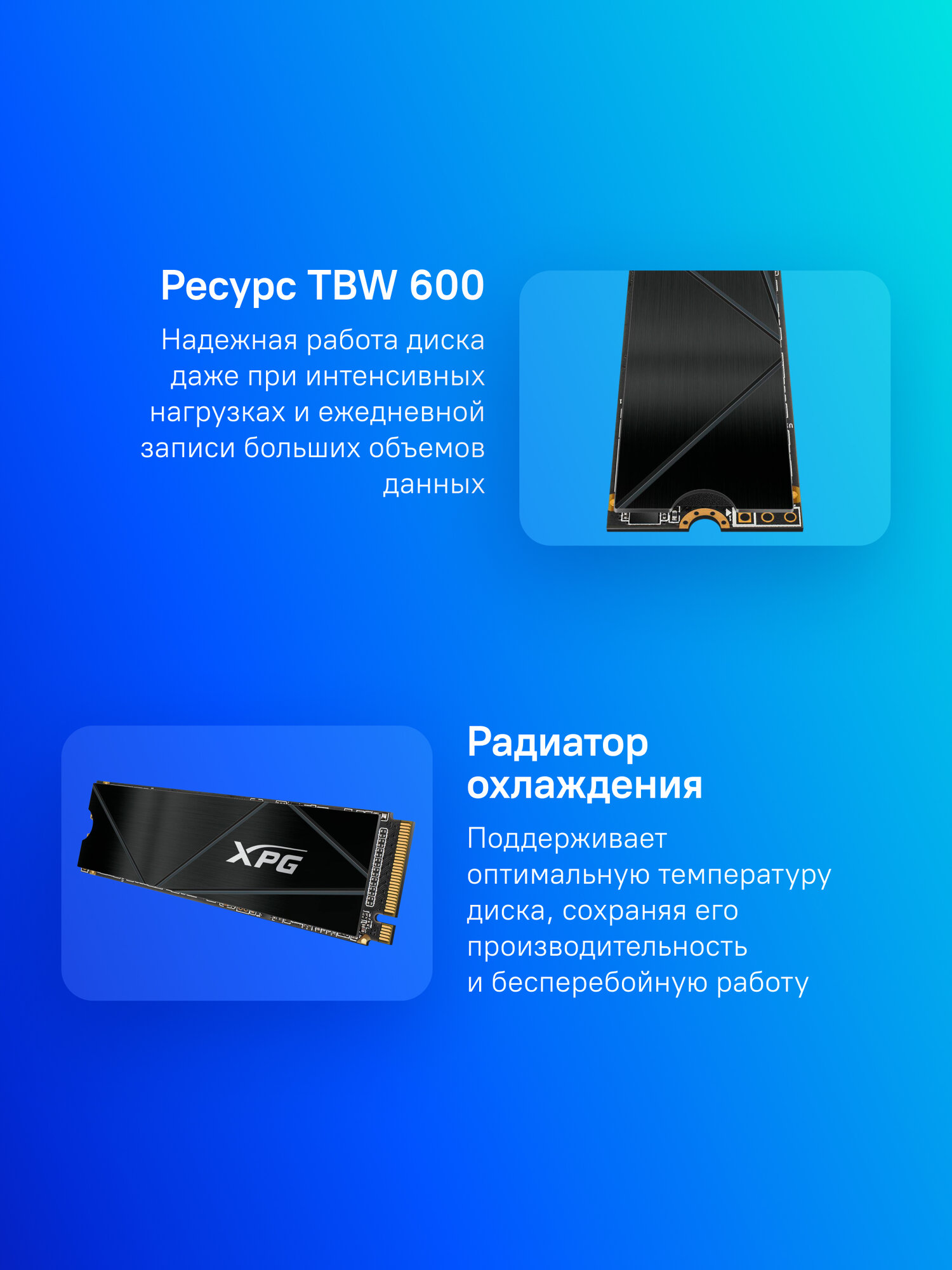 SSD накопитель A-Data XPG Gammix S50 Core 1ТБ, M.2 2280, PCIe 4.0 x4, NVMe, M.2 [sgammixs50c-1000g-cs] — фото 1