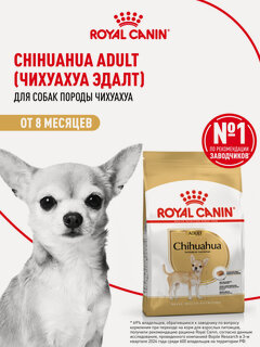 Изображение товара Сухой корм для собак Royal Canin Adult для породы чихуахуа, 3 кг