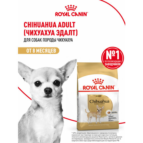 Корм для собак Royal Canin Chihuahua Adult (Чихуахуа Эдалт) сухой для взрослых собак породы Чихуахуа от 8 месяцев, 0,5 кг