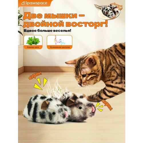 Мышка Кошка Игрушки Tease Cat Интерактивные игрушки Catnip Squeaker Pack of 2