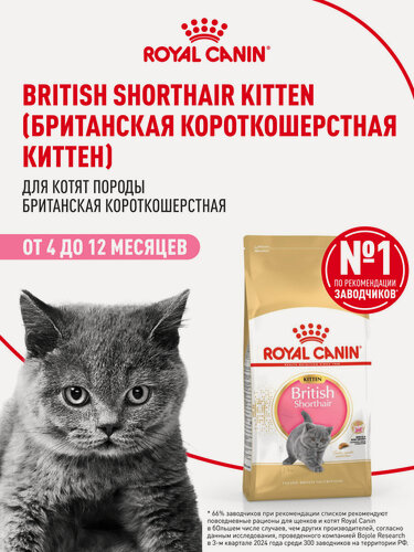 Изображение товара Сухой корм для котят Royal Canin Kitten для британской породы, 2 кг
