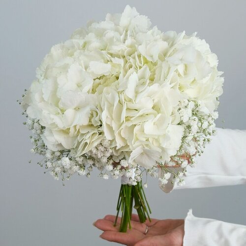 Изображение товара Букет невесты Королевство Праздника с белой гортензией и гипсофилой