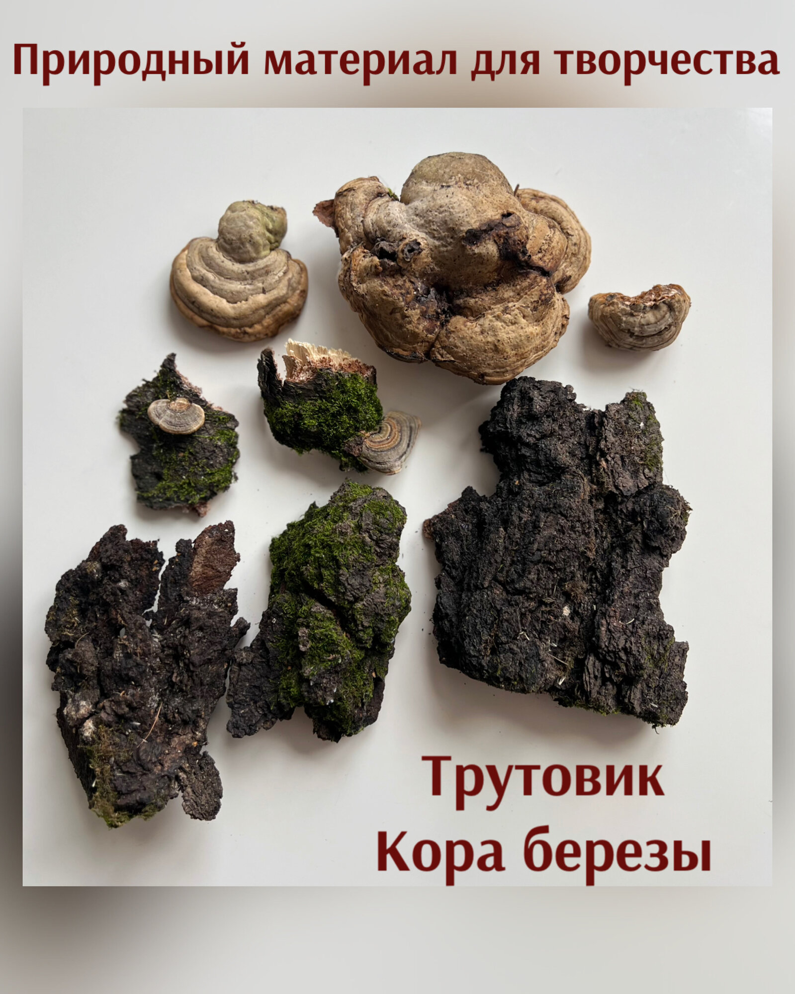 Набор природных материалов для творчества   Трутовик   кора березы