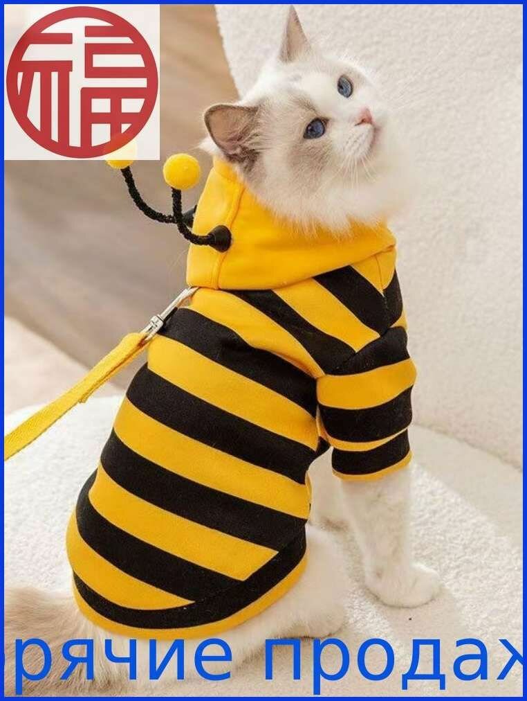 Одежда для животных — фото 1
