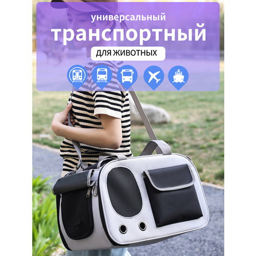 Переноска для кошек и собак мелких пород, сумка для животных
