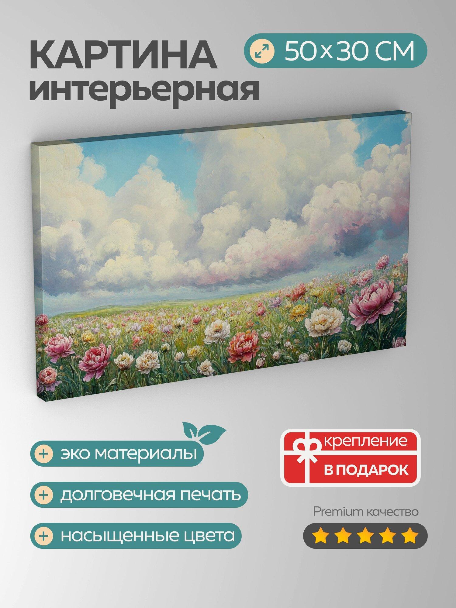 Картина на холсте интерьерная 50х30 см Пионы облака небо поле цветение масляная картина художник цвета фактура