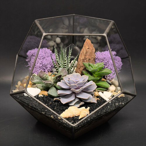фото Флорариум succulenteria "лавандовые сны" размер l, с суккулентами, настольный