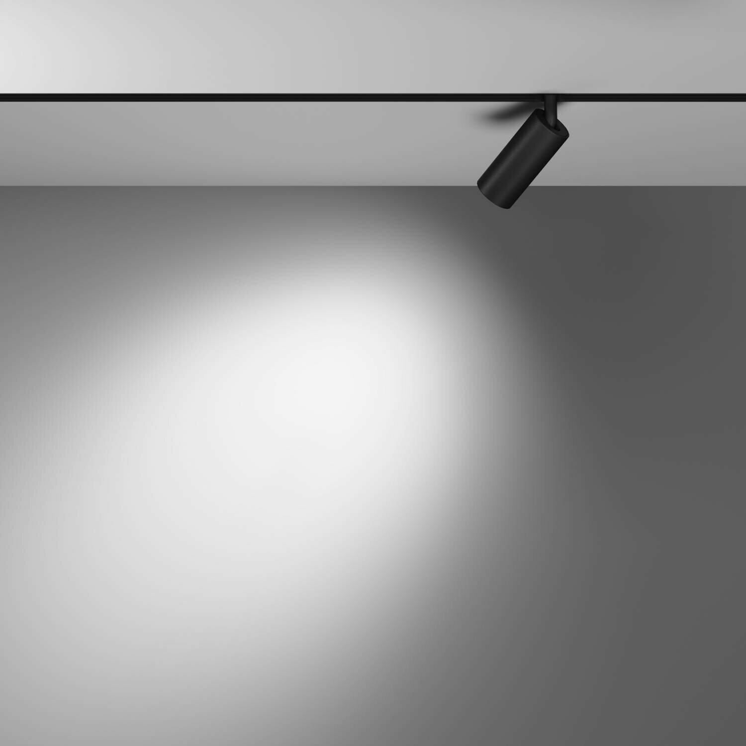 Трековый светильник Maytoni Focus LED Exility TR032-2-5W4K-M-B — фото 1