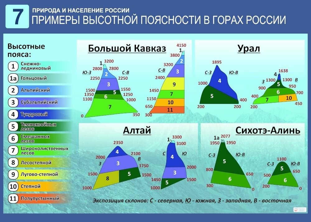 Таблица демонстрационная "Высотная поясность в горах России"
